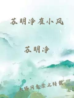 苏明净崔小风