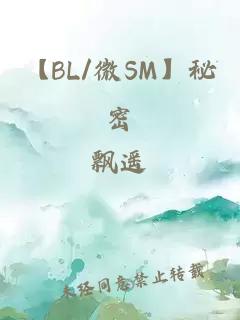 【BL/微SM】秘密