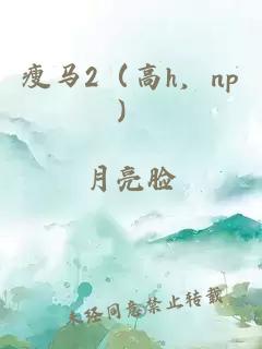 瘦马2（高h，np）