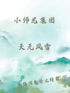 小师兄集团