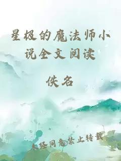 星极的魔法师小说全文阅读