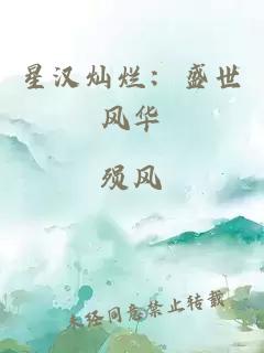 星汉灿烂：盛世风华