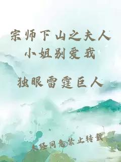 宗师下山之夫人小姐别爱我