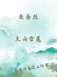 桑蚕丝