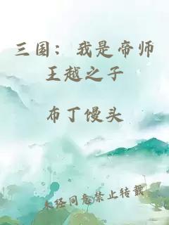 三国：我是帝师王越之子