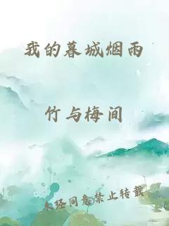 我的暮城烟雨