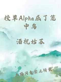 校草Alpha成了笼中鸟