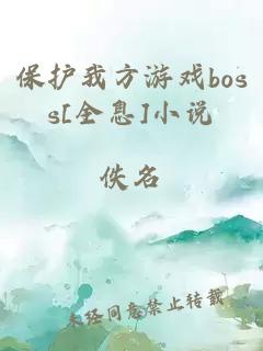 保护我方游戏boss[全息]小说