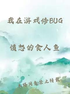 我在游戏修BUG