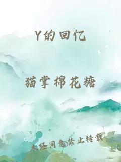 Y的回忆