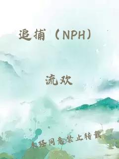 追捕（NPH）