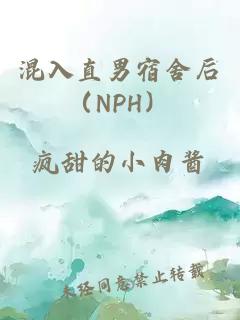 混入直男宿舍后（NPH）