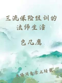 三流保险组训的法师生活