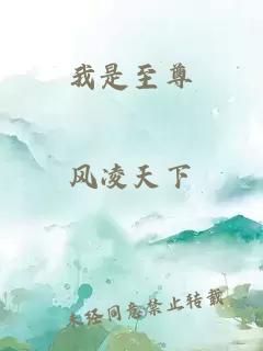 我是至尊