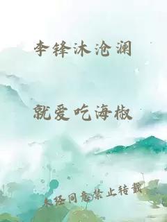 李锋沐沧澜