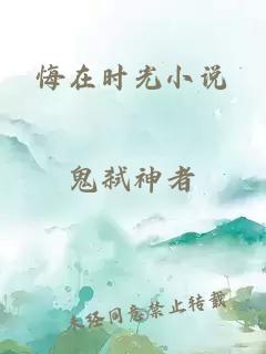 悔在时光小说