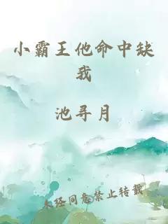 小霸王他命中缺我