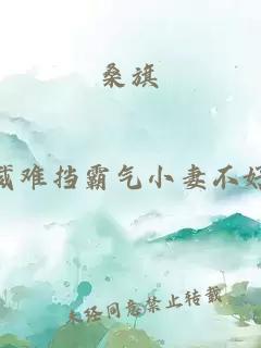 桑旗