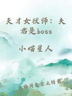 天才女状师：夫君是boss