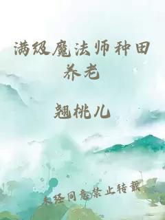 满级魔法师种田养老