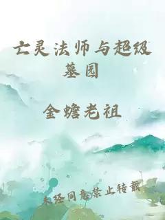 亡灵法师与超级墓园