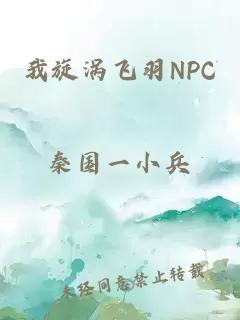 我旋涡飞羽NPC