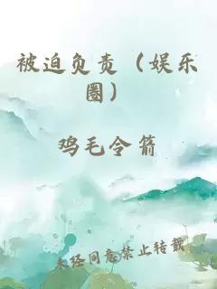 被迫负责（娱乐圈）