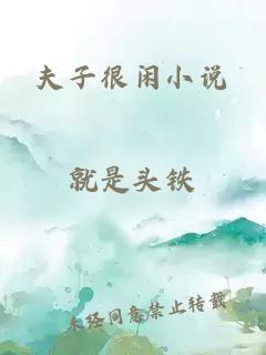 夫子很闲小说