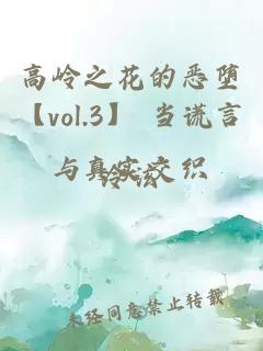 高岭之花的恶堕【vol.3】 当谎言与真实交织